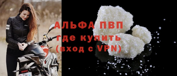 индика Касимов