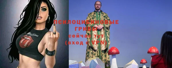 индика Касимов