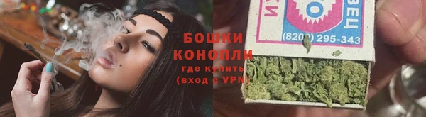 индика Касимов