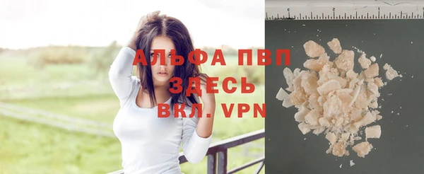 индика Касимов