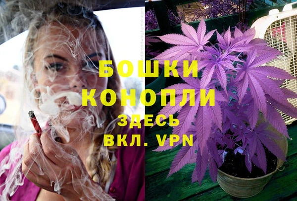 винт Карпинск