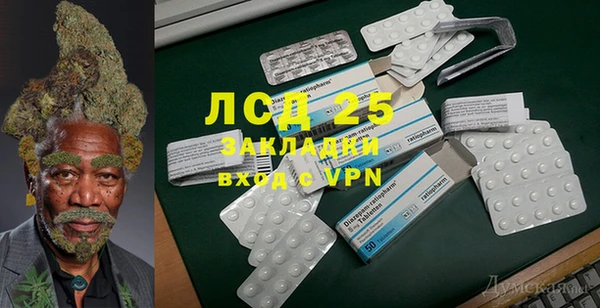 индика Касимов
