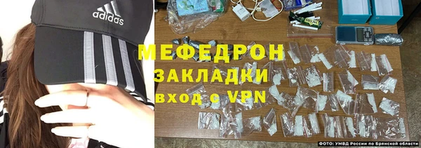 индика Касимов