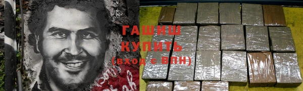 индика Касимов