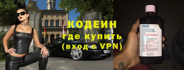 индика Касимов