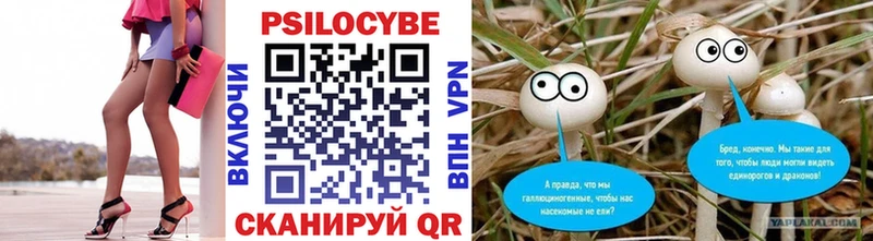 Галлюциногенные грибы Cubensis  Купить  Звенигород 