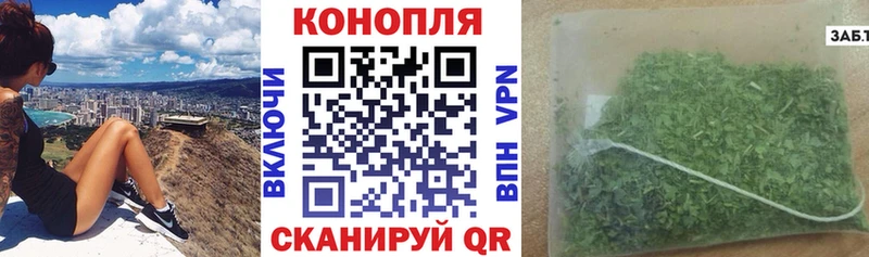 Купить закладки  Звенигород  Конопля MAZAR 